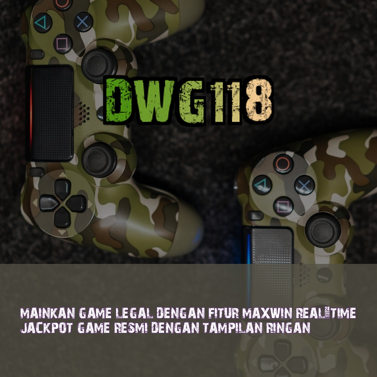 DWG118